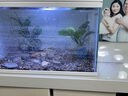 森森（SUNSUN）超白魚缸一體缸自循環(huán)客廳水族箱桌面家用懶人免換水小型金魚缸 超白HEJ380標(biāo)配+水溶景 曬單實拍圖