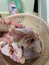 克雷蒙 無(wú)骨雞爪去骨雞爪子新鮮冷凍手工脫骨雞腳檸檬鳳爪食材雞肉生鮮 新鮮單凍 雞翅中4斤 曬單實(shí)拍圖