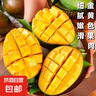 凱特芒新鮮現摘熱帶芒果 特大果9斤帶箱 曬單實(shí)拍圖