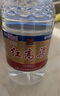 瀘州老窖瀘州紅高粱酒 52度5L濃香型桶裝散酒純糧食白酒 泡藥酒泡楊梅用酒 曬單實拍圖