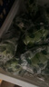 滿(mǎn)柚春無(wú)籽青檸檬塔西提薄皮多汁香水檸檬小青檸奶茶店專(zhuān)用 海南香水2斤大果單果80-120克 曬單實(shí)拍圖
