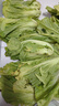 農(nóng)家自種特價(jià)新鮮芥菜包心酸菜玉菜蓋菜當(dāng)季青菜農(nóng)家自種整箱蔬菜 帶箱9-10斤（精選） 曬單實(shí)拍圖