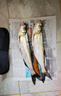 光威（GW）7.2米魚竿手竿水色良辰戰(zhàn)二代超輕超硬28調(diào)釣魚桿綜合大物鰱鳙竿 曬單實(shí)拍圖