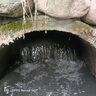上企奉泉人民水泵污水泵潛水排污泵三相潛污泵排污泵工地5.5kw7.5kw 80WQ40-22-5.5 曬單實(shí)拍圖