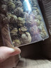 石斛中藥材原材料500g正品正宗楓斗粉新鮮鮮條干花茶 高品質(zhì)/易出膠【2罐】石斛（500克） 曬單實(shí)拍圖