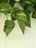 匠心綻放仿真藤條樹(shù)葉綠籮假綠植空調(diào)管道遮擋裝飾藤蔓植物藤條5條裝20193 曬單實(shí)拍圖