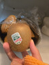 佳沛（zespri）綠奇異果 優(yōu)選大果12粒單果約113-135g  水果禮盒 獼猴桃 曬單實(shí)拍圖