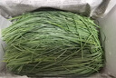 鮮級佳正宗民勤沙蔥【順豐速運(yùn)】特產(chǎn)新鮮小蔥香蔥辛香脆爽美味可口現(xiàn)摘 1斤 曬單實拍圖