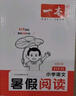 一本小學(xué)語文暑假閱讀二升三年級 2025小學(xué)2升3暑假銜接作業(yè)課外閱讀理解訓(xùn)練復(fù)習(xí)鞏固預(yù)習(xí)提優(yōu)天天練 曬單實(shí)拍圖