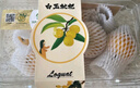 【地標(biāo)好物】東山白玉枇杷200g（單果15g起） 曬單實拍圖