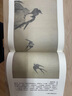 莊子：王寵小楷珍藏版（明代王寵小楷《莊子·內篇》全文，“吳門(mén)畫(huà)派”文徵明經(jīng)典插畫(huà)） 曬單實(shí)拍圖