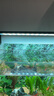 尼特利 NETLEA水草燈AT5S全光譜伸縮led魚(yú)缸燈水族草缸藍牙智控植物補光爆藻燈 580S【80-100缸】語(yǔ)音+手機操控+可調光譜 曬單實(shí)拍圖