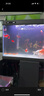 柏卡樂交直流增氧泵充電大功率增氧機海鮮魚池養(yǎng)殖養(yǎng)魚充氧機魚缸氧氣泵 功率45W 6孔 鋰電池 數(shù)顯款 55斤內(nèi)魚 曬單實拍圖