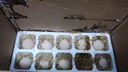 新鮮農(nóng)家谷物鮮雞蛋  現(xiàn)撿現(xiàn)發(fā) 破損包賠 新鮮營(yíng)養(yǎng) 單枚50g-60g 30枚裝 曬單實(shí)拍圖
