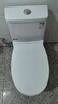 松鯨  馬桶家用噴射虹吸大沖力節(jié)水連體式管道施釉普通坐便器靜音防臭 【噴射虹吸】管道施釉款 400mm 曬單實拍圖
