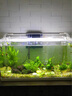 遠(yuǎn)紅外細(xì)菌屋魚(yú)缸過(guò)濾器烏龜缸濾材水族箱濾材硝化細(xì)菌柱方形培菌 高配15合1濾材【425g】+送1網(wǎng)袋 紅外線細(xì)菌屋 曬單實(shí)拍圖