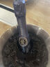白雪（PIPER-HEIDSIECK）法國香檳原瓶進(jìn)口查理哈雪Charles Heidsieck珍藏香檳情人節(jié)禮物 曬單實(shí)拍圖