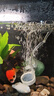 松寶（sobo）魚缸增氧泵養(yǎng)魚氧氣泵小型家用充氧泵水族箱打氧機(jī)增氧泵 雙孔3W 曬單實(shí)拍圖