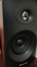 山水（SANSUI） 62C無(wú)線(xiàn)藍牙HIFI發(fā)燒級音響對箱2.0無(wú)損音樂(lè )音箱設備客廳電視家用電腦音響臺式筆記本 62C 曬單實(shí)拍圖