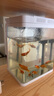 寵街坊小魚(yú)缸一體缸自循環(huán)水族箱桌面客廳小型送禮生態(tài)魚(yú)缸造景240 曬單實(shí)拍圖