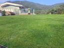 護(hù)坡固土草籽耐寒耐旱邊坡綠化草坪草籽免修剪黑麥草高羊茅籽 護(hù)坡四季青10斤【快速復(fù)綠】 曬單實(shí)拍圖
