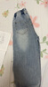女童闊腿牛仔褲春秋2025新款洋氣春季女孩休閑長褲兒童褲子女 【刺繡愛心】純色海鹽藍 150 曬單實拍圖