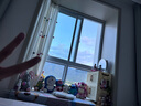 趣巢躲貓貓玩具練習(xí)抬頭音樂安撫嬰幼兒童寶寶毛絨仿真兔子玩偶 小吉象灰安撫音樂哄睡 曬單實(shí)拍圖