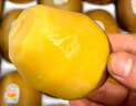 佳沛（zespri）新西蘭  陽光金奇異果16粒禮盒經(jīng)典果單果約 77-103g 水果 獼猴桃 曬單實(shí)拍圖