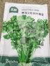 北蔬 大葉香菜種子種苗芫荽四季盆栽蔬菜籽 寒圣2號(hào)大葉香菜種子250g 曬單實(shí)拍圖