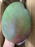 集南鮮 攀枝花凱特芒果 現(xiàn)摘熱帶新鮮生鮮水果整箱青黃皮大芒果 凈重4.5甄選大果 單果600起 曬單實拍圖