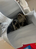 【活蟹】乾澄大閘蟹現(xiàn)貨 全母2.3-2.6兩8只 六月黃鮮活螃蟹去繩足重海鮮禮盒裝源頭直發(fā) 曬單實拍圖