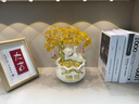 冠珺號躺賺招財(cái)貓發(fā)財(cái)樹招財(cái)進(jìn)寶擺件客廳桌面開業(yè)禮物送人開張喬遷禮物 躺賺發(fā)財(cái)招財(cái)貓【白色】 曬單實(shí)拍圖