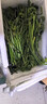 現(xiàn)摘山貨新鮮蕨菜當(dāng)季野生農(nóng)家涼拌蔬菜山野菜貓爪龍爪飯菜野綠色 帶箱5斤 曬單實(shí)拍圖