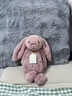 Jellycat致臻害羞羅莎維洛邦尼兔動(dòng)物毛絨玩偶安撫送禮娃娃生日禮物520 害羞羅莎邦尼兔 H31 X W12 CM 曬單實(shí)拍圖