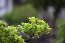 騰龍（Tamron）A058 35-150mm F/2-2.8人像風(fēng)光旅游35-150全畫幅微單鏡頭35150 尼康Z卡口 官方標(biāo)配【送騰龍UV濾鏡禮包+腳架環(huán)】 曬單實拍圖