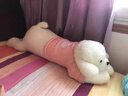 萌尚偶趴趴狗長(cháng)條抱枕公仔玩偶毛絨玩具睡覺(jué)布娃娃女生七夕情人節生日禮 白色狗【B77】 震撼超大號 1.6米 曬單實(shí)拍圖