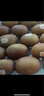佳沛（zespri）新西蘭  陽光金奇異果25-27粒原箱特大果單果約122-146g  獼猴桃 曬單實(shí)拍圖