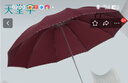 天堂 加大雨傘三折 晴雨兩用商務(wù)傘經(jīng)典格紋10骨大雨傘男女 暗紫紅 曬單實(shí)拍圖