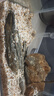 瘋狂水草青龍石假山石魚缸造景石材魚缸石頭觀賞石景觀石擺件天然原石頭 曬單實(shí)拍圖