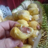 海南特產(chǎn)榴蓮蜜新鮮當(dāng)季水果果肉整個非濕包菠蘿蜜包郵熱帶軟糯 2-3斤 曬單實拍圖