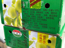 信遠齋桂花酸梅湯飲料300ml*12瓶玻璃瓶整箱裝 北京老字號 火鍋解辣 曬單實拍圖