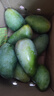 甜萌果蔬金煌芒 送人 水仙芒果青皮大芒果甜心芒海南新鮮水果孕婦盒子送禮 老樹甄選裝（單果約300g+） 9斤裝【蕞劃算】凈重8斤 曬單實(shí)拍圖