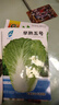 【種子大全】12種蔬菜種子四季菜種子陽(yáng)臺(tái)盆栽綠植庭院易種春秋 菠菜+芹菜+菜心+香菜+茼蒿 曬單實(shí)拍圖