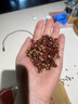 北京同仁堂官方旗艦店500g無籽花椒粒中藥材四川正宗特級紅花椒麻花椒粒大料 【試用裝/貴在運費】精品花椒10g 曬單實拍圖
