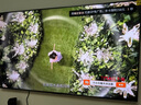 Vidda 發(fā)現(xiàn)X 2026款 75英寸 300Hz超高刷 墨晶屏 QD-Mini LED 以舊換新家電國家補貼液晶海信電視75VX5Q 曬單實拍圖