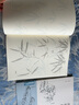 3冊《芥子園畫傳淺印描摹》蘭竹梅菊草蟲翎毛山水譜國畫入門基礎(chǔ)書籍白描臨摹本超級線條初學(xué)者工筆畫自學(xué)教材 曬單實拍圖