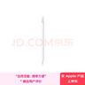 Apple/蘋果 Pencil(USB-C)磁吸觸控筆手寫筆蘋果筆電容筆適用于新iPad mini/Pro (M4)/Air (M2)/iPad11 曬單實拍圖