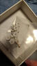 CAROMAY喜上梅梢胸針女西裝別針優(yōu)雅胸花輕奢衣領扣情人節(jié)禮物送女友老婆 喜上梅梢胸針禮盒 曬單實拍圖