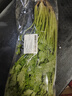 帶根香菜100g 曬單實(shí)拍圖