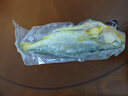 黃小漁寧德黃魚(yú)鲞400g/2條 三去大黃魚(yú)黃花魚(yú)生鮮 海鮮水產(chǎn)燒烤夜宵魚(yú)類 曬單實(shí)拍圖